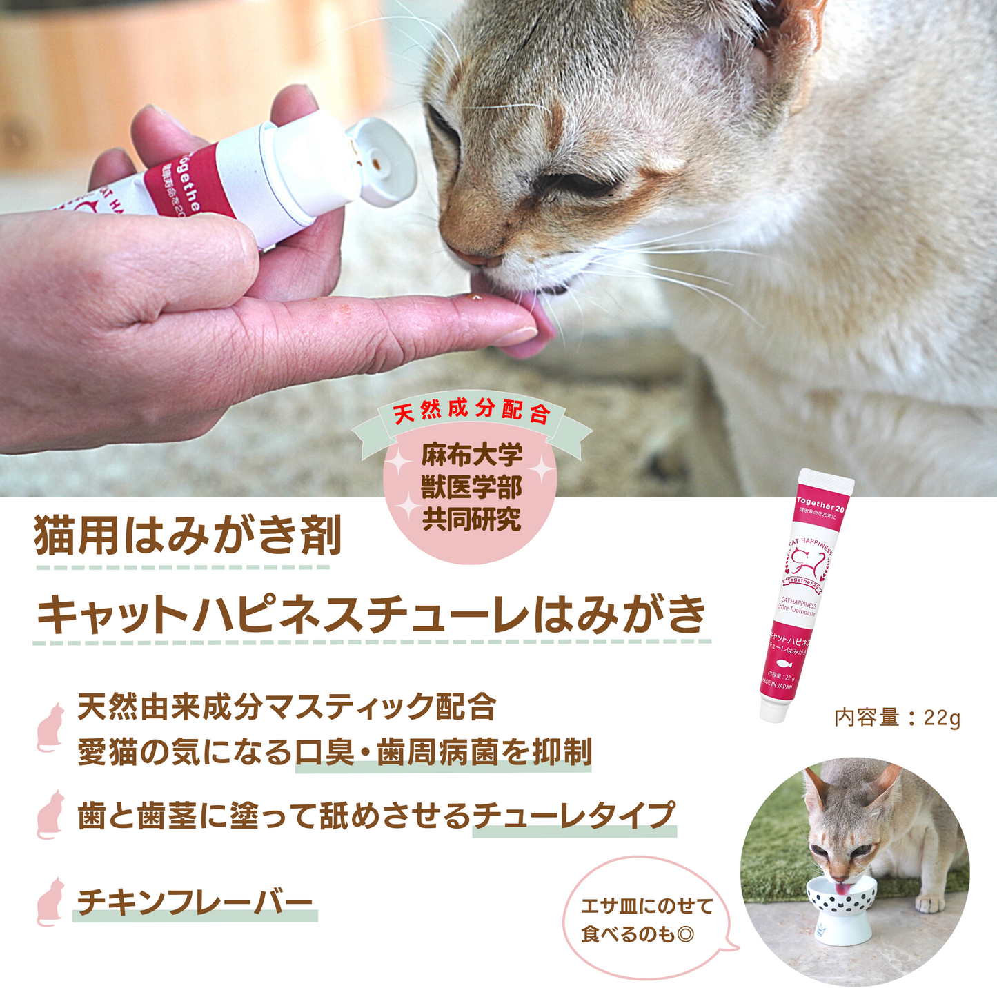 猫用歯磨き キャットハピネスチューレはみがき