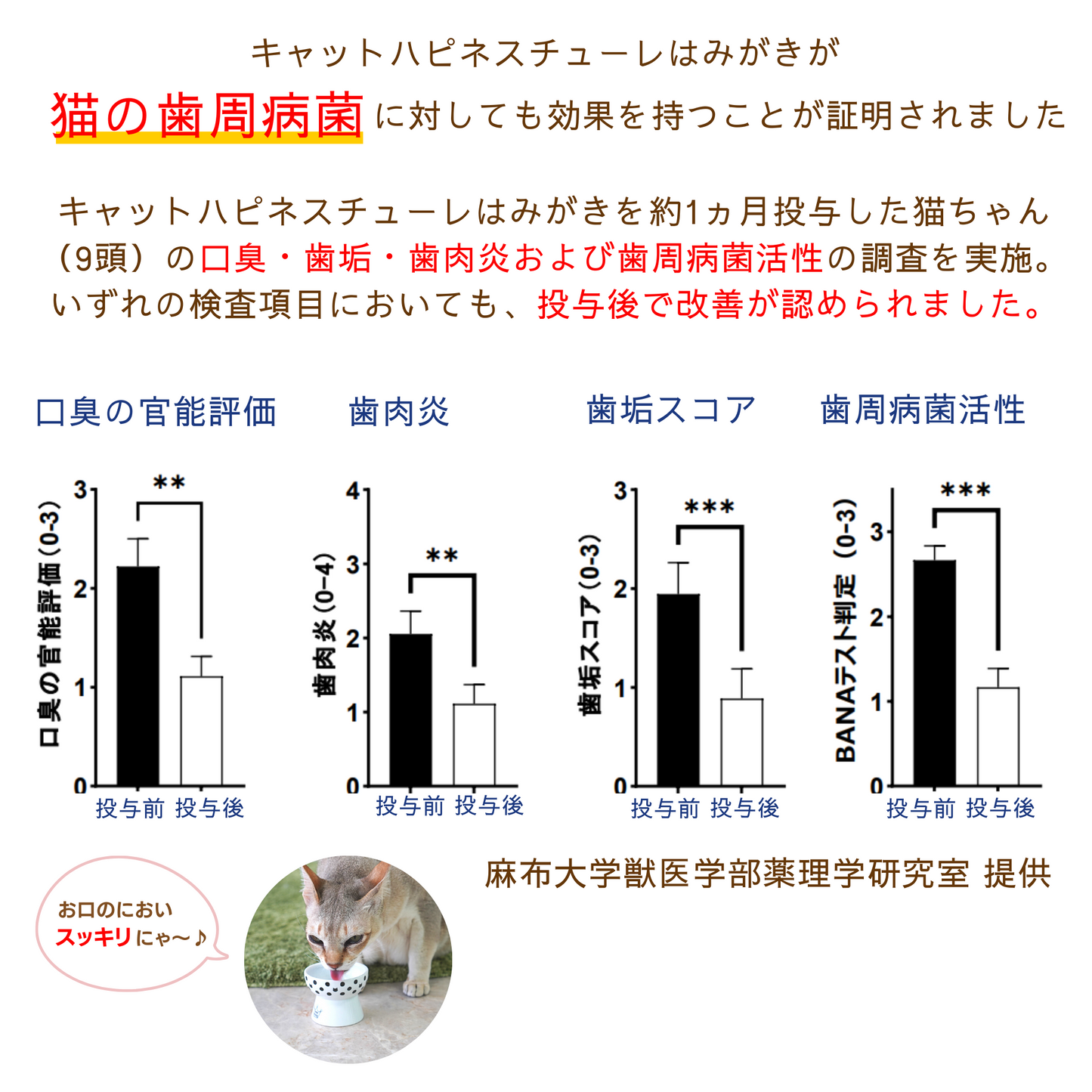 猫用歯磨き キャットハピネスチューレはみがき