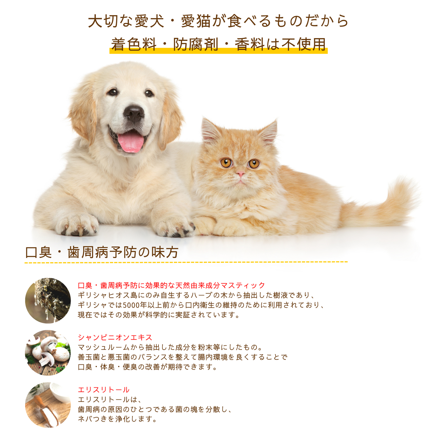 【犬猫用】ペットハピネス口腔ケアサプリ