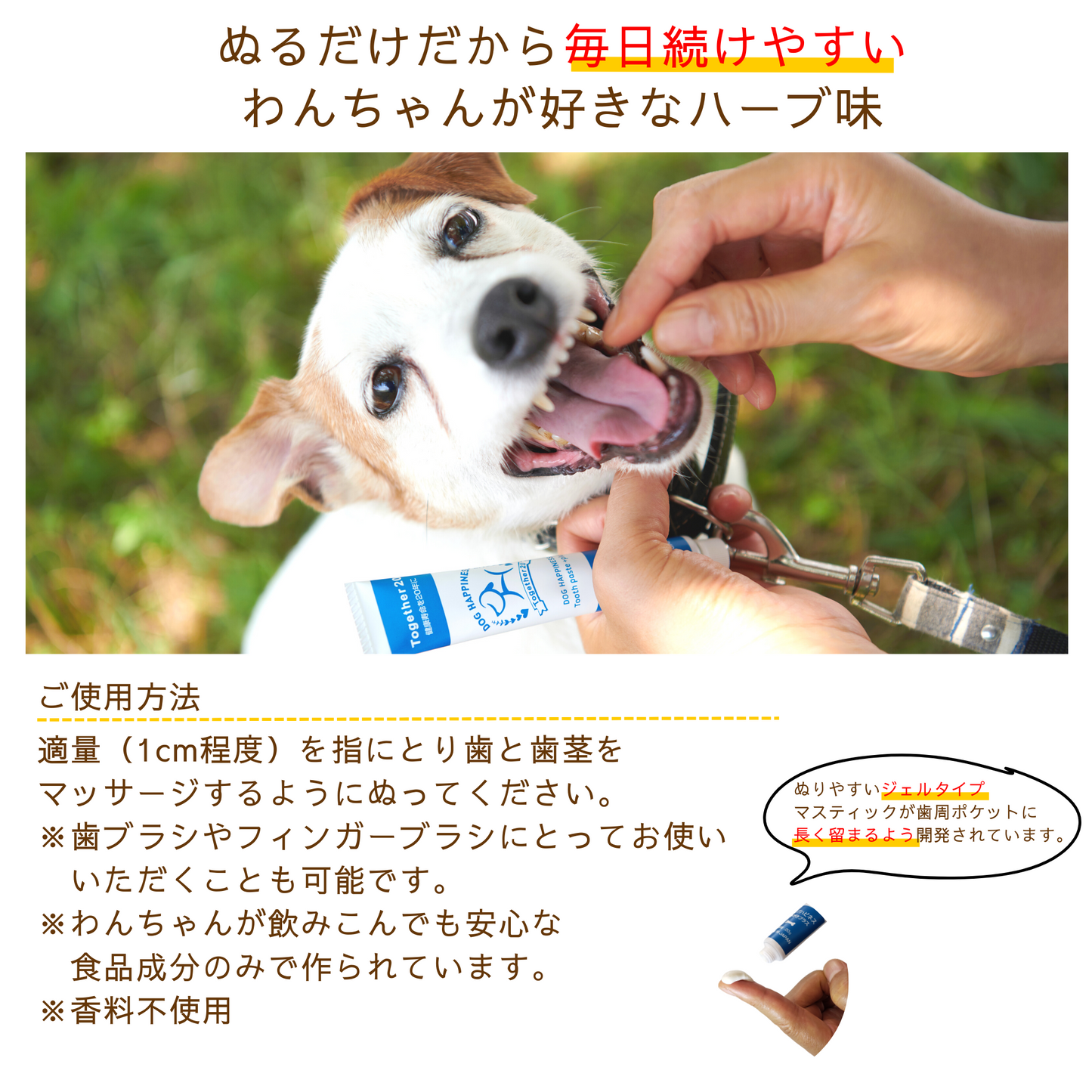 犬用歯磨きジェル ドッグハピネスはみがきプラス