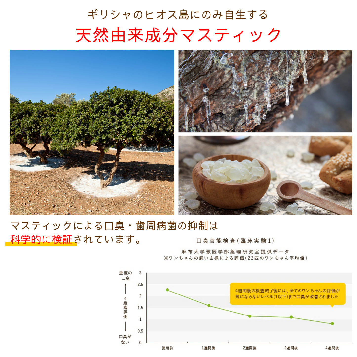 犬用歯磨きジェル ドッグハピネスはみがきプロ