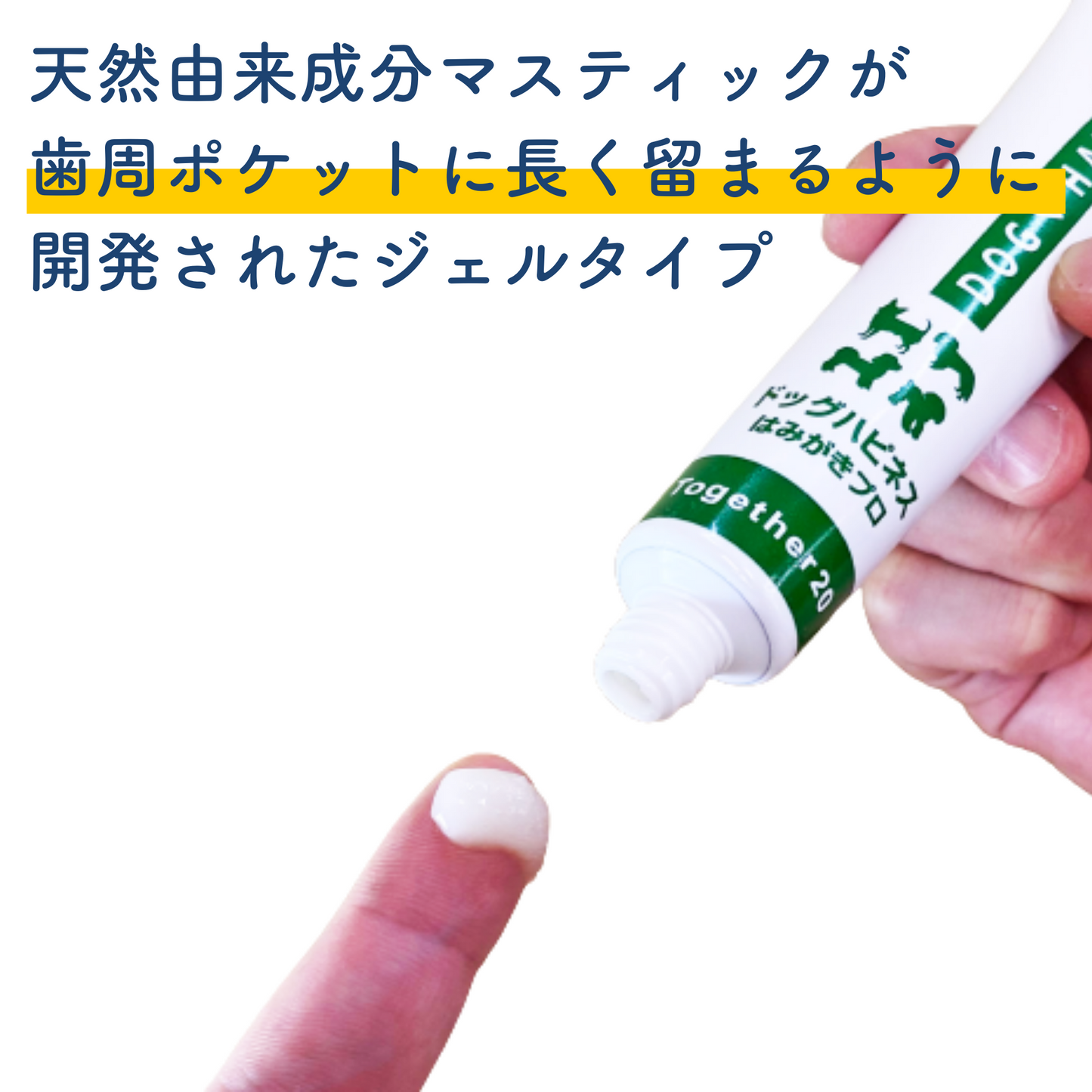 犬用歯磨きジェル ドッグハピネスはみがきプロ